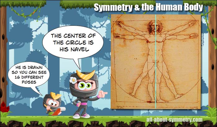 Symmetry in Humans
